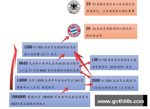 足球运动员学历：打造成功职业生涯的必备基石