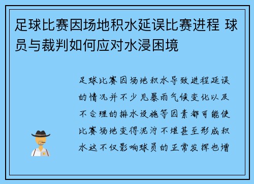 足球比赛因场地积水延误比赛进程 球员与裁判如何应对水浸困境